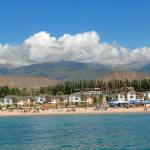 Nguyễn Thị Hạnh Profile Picture