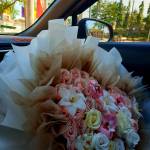 Nguyen Thi Zen Profile Picture