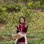 Nguyen Thi Kim Thanh Profile Picture