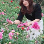Trần Kim Phương Profile Picture