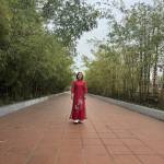 Vũ Thị Dung Profile Picture