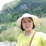 Mai Thị Hồng Nga Profile Picture