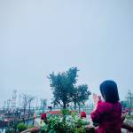 Tạ Thị Toan Toan Profile Picture