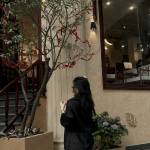 Trần Thu Trang Profile Picture