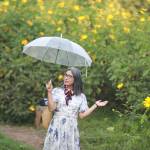 Trần Thị Hồng Hà Profile Picture