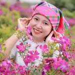 Nguyễn Hạnh Profile Picture